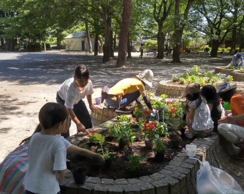 大泉公園花壇植栽の活動